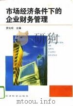 市场经济条件下的企业财务管理   1995  PDF电子版封面  750580751X  罗元明主编 