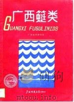 广西（竹蜓）类   1989  PDF电子版封面    广西地质研究所 