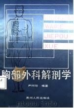 胸部外科解剖学   1987  PDF电子版封面    尹树珍编著 