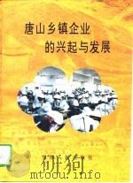 唐山乡镇企业的兴起与发展   1995  PDF电子版封面  7201023896  武文常，林宗泽主编 