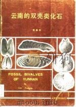 云南的双壳类化石（1985 PDF版）