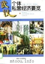 武汉个体私营经济要览   1996  PDF电子版封面  7216018613  曾雪萍，周德武主编；刘光德等编撰 
