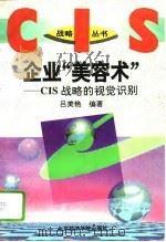 企业“美容术” CIS战略的视觉识别   1995  PDF电子版封面  7563804676  吕美艳编著 