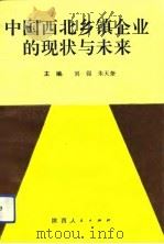 中国西北乡镇企业的现状与未来   1993  PDF电子版封面  722403097X  刘强，朱天奎主编 