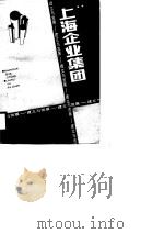 上海企业集团  建立与发展   1988  PDF电子版封面  7542701142  戴金德，李更春主编 