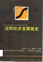 沈阳经济发展简史   1988.08  PDF电子版封面  7810051423  林源主编 