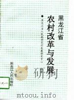 黑龙江省农村改革与发展  上   1996  PDF电子版封面  720703699X  黑龙江省人民政府农村发展研究中心编 