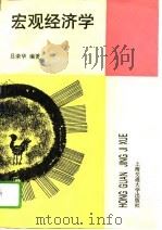 宏观经济学   1995年05月第1版  PDF电子版封面    吕荣华 