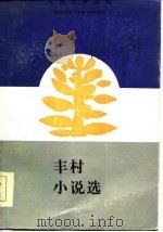 丰村小说选（1985 PDF版）