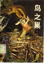 鸟之巢   1982  PDF电子版封面    郑光美编著 