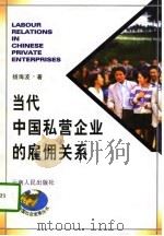 当代中国私营企业的雇佣关系   1996  PDF电子版封面  7222019936  杨海波著 