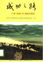 成功之路  广西十强县  市  崛起的奥秘（1994 PDF版）