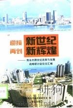 迎接新世纪  再创新辉煌  青岛市跨世纪改革与发展战略研讨会论文汇编（1999 PDF版）
