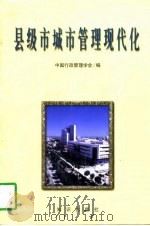 县级市城市管理现代化  中国县级市现代化城市管理研讨会论文集（1998 PDF版）