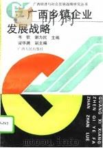 广西乡镇企业发展战略（1995 PDF版）