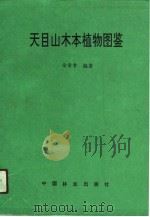 天目山木本植物图鉴   1989  PDF电子版封面  7502805838  徐荣章编著 