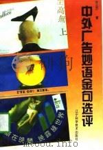 中外广告妙语金句选评（1996 PDF版）