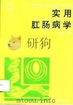 实用肛肠病学   1995  PDF电子版封面  7535216463  杨远荣主编 