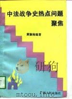 中法战争史热点问题聚焦   1994.04  PDF电子版封面  7219026293  黄振南编 