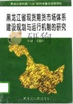黑龙江省现货期货市场体系建设规划与运行机制的研究   1995  PDF电子版封面  720703444X  王德章主编 