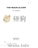 中国少数民族文化大辞典   1997  PDF电子版封面  7105028440  《中国少数民族文化大辞典》编纂委员会 