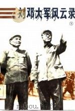 刘邓大军风云录  （下册）   1983年09月第1版  PDF电子版封面    陈斐琴 杨国宇  王伟 