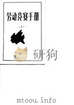 劳动竞赛手册  上   1988  PDF电子版封面  7113002668  张志林，王冲编著 