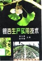 银杏生产实用技术   1998  PDF电子版封面  7504625175  侯九寰，徐华勤主编 