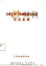 云南省耿马傣族佤族自治县自治条例（1987 PDF版）
