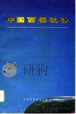 中国西部硅谷   1996  PDF电子版封面  7536906005  和平等主编 