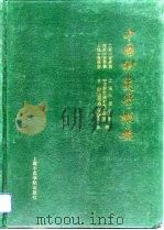 中国针灸学概要  日文版（1993 PDF版）
