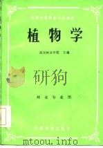 植物学   1985  PDF电子版封面  16046·1243  南京林业学校主编 