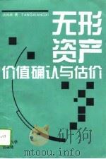 无形资产价值确认与估价   1995  PDF电子版封面  7307020297  汤湘希著 