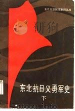 东北抗日义勇军史   1987  PDF电子版封面    温永录主编 