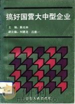 搞好国营大中型企业   1992  PDF电子版封面  7209010696  陈光林主编 