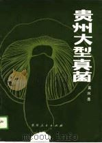 贵州大型真菌（1989 PDF版）
