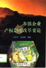 乡镇企业产权制度改革要论   1995  PDF电子版封面  7536630573  王元才，汪丛林编著 