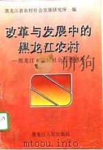 改革与发展中的黑龙江农村  黑龙江省农村社会经济调查  上（1996 PDF版）