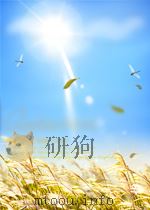 中国新文学大系 第八集（诗集）   1935年10月第1版  PDF电子版封面    赵家璧 
