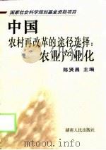 中国农村再改革的途径选择：农业产业化（1999 PDF版）