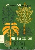 植物王国   1986  PDF电子版封面  13212·87  汪劲武，陈志祺编 