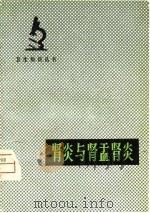 肾炎与肾盂肾炎   1980  PDF电子版封面  14105·61  熊焱，杨振南著 