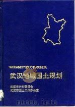 武汉地域国土规划   1992  PDF电子版封面  7543007320  武汉市计划委员会，武汉市国土工作办公室编 