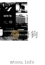 纺织电子城咸阳   1984  PDF电子版封面  4007·19  高墅，陈崇凯编著 