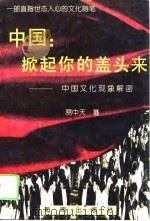 中国：掀起你的盖头来  中国文化现象解密（1995 PDF版）