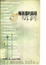 梅雨潭的新绿   1983  PDF电子版封面  10100·628  赵瑞蕻著 
