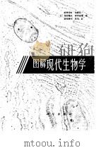 图解现代生物学   1988  PDF电子版封面  13031·1935  （日）新津恒良等著；赵敏等译 
