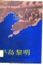 半岛黎明   1989  PDF电子版封面  7205011647  郭宝恒，陈颖著 