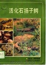活化石扬子鳄   1989  PDF电子版封面  7535803415  王圣宝，陈壁辉 