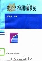 市场经济与中国农民   1995  PDF电子版封面  7800269434  武兆瑞主编 